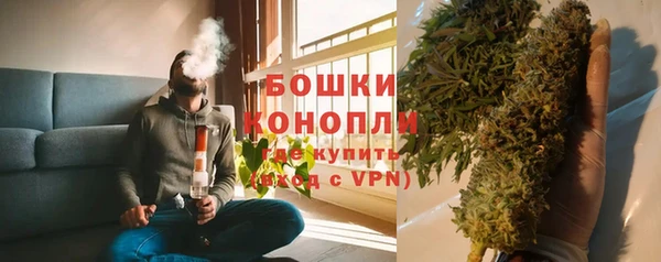 прущие грибы Абдулино