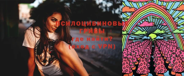 прущие грибы Абдулино