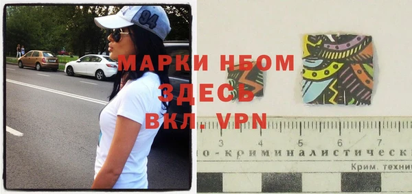 прущие грибы Абдулино