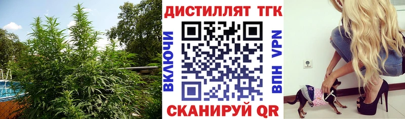 купить наркоту  Сокол  ТГК концентрат 