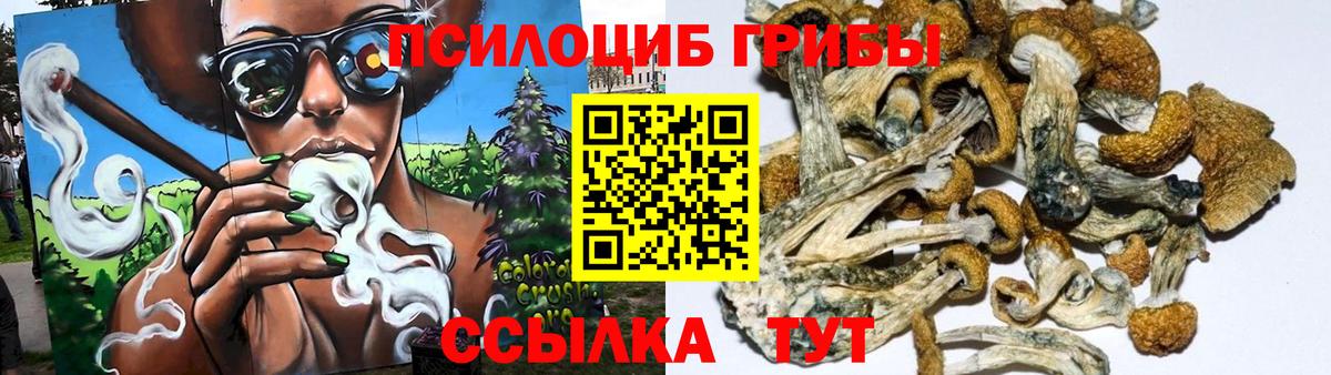 Галлюциногенные грибы Magic Shrooms Сокол